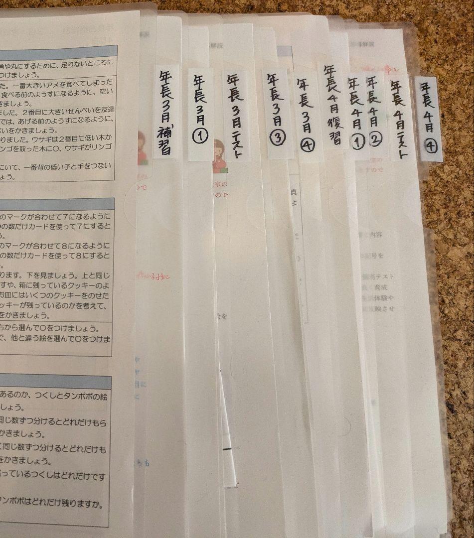 【伸芽会】年長11〜10月　総合クラス　冬期　夏期　直前講習　未記入プリント