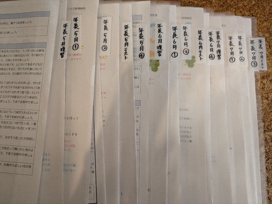 【伸芽会】年長11〜10月　総合クラス　冬期　夏期　直前講習　未記入プリント