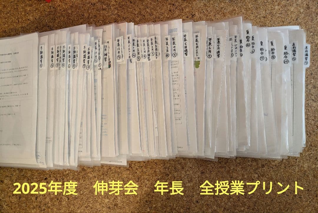 【伸芽会】年長11〜10月　総合クラス　冬期　夏期　直前講習　未記入プリント