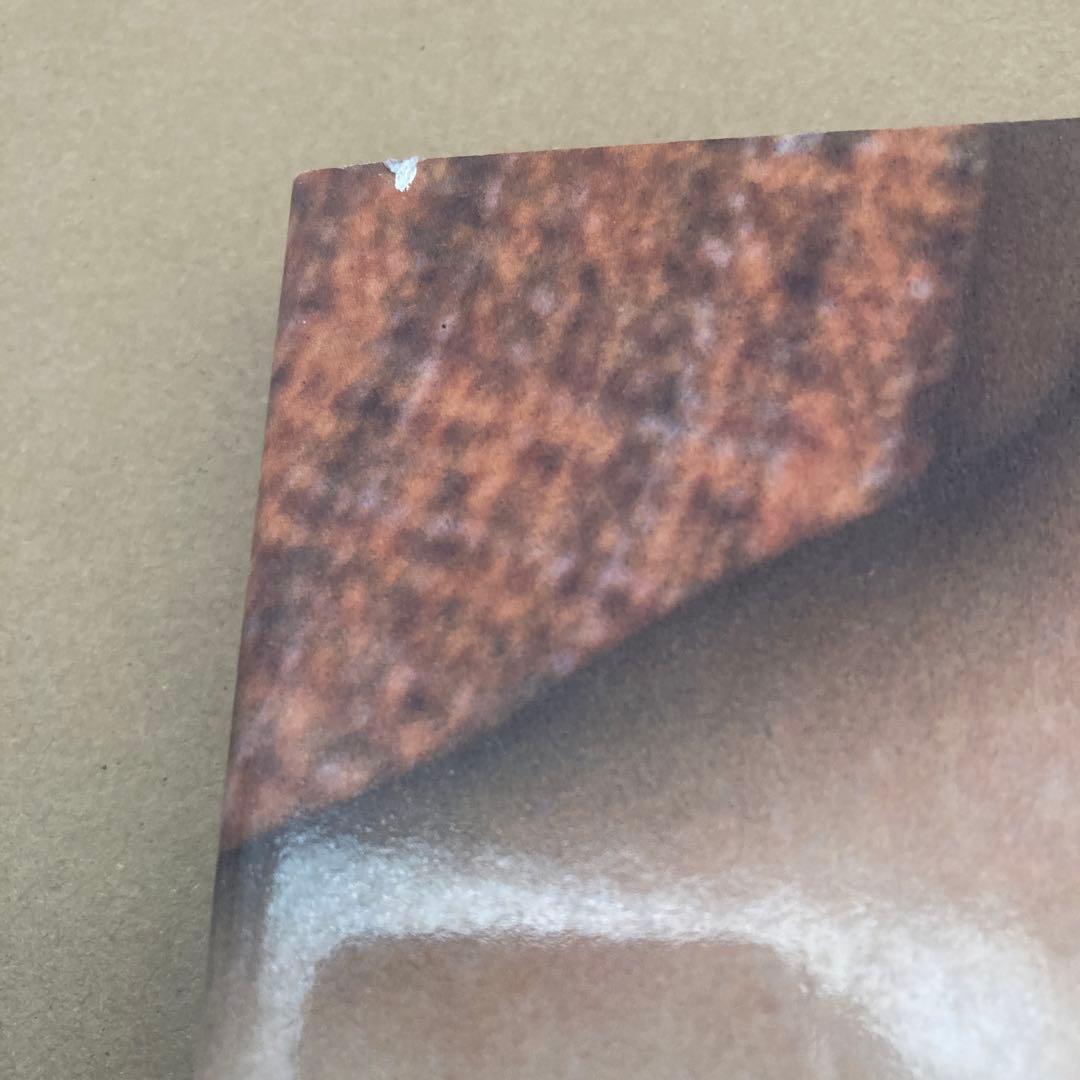 Juergen Teller ユルゲン・テラー　写真集　洋書