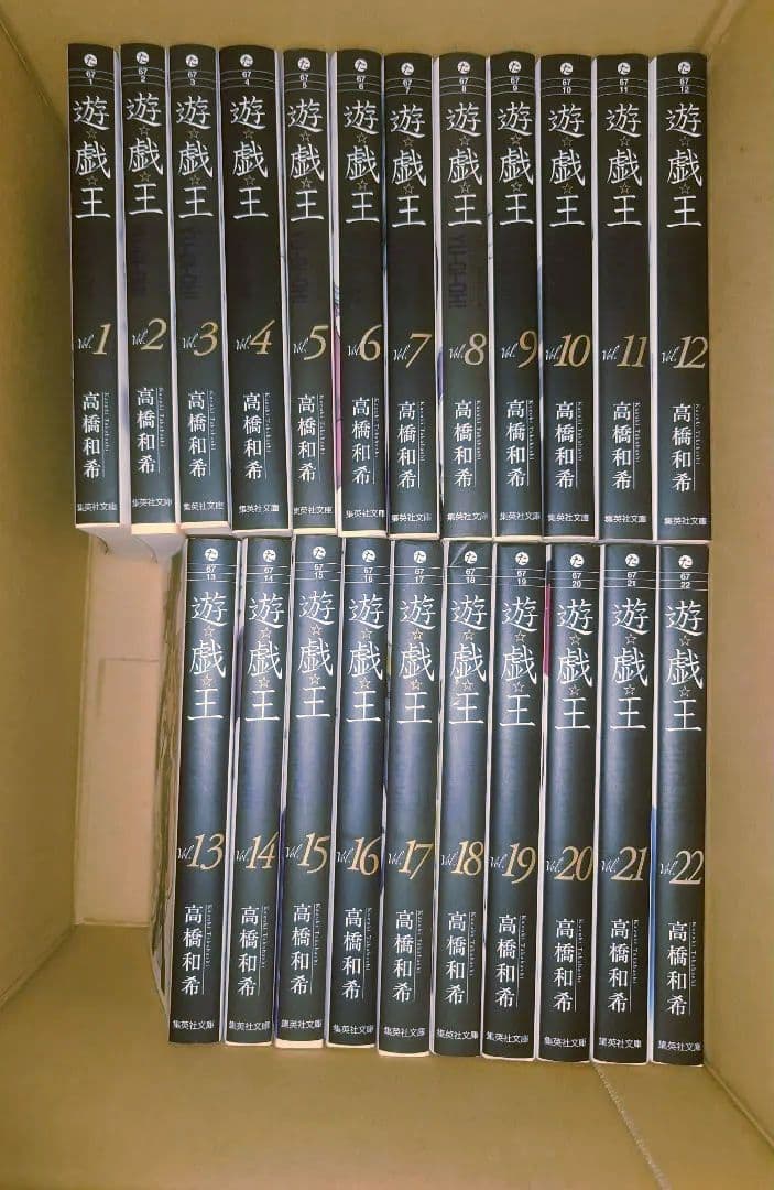 遊戯王 全巻セット（全22巻） 文庫版