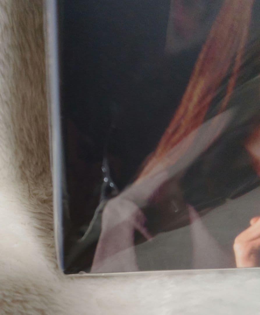 金田一少年の事件簿 堂本剛 Blu-ray