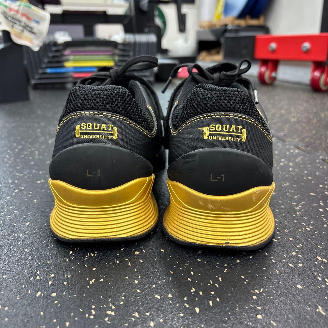 TYR L-1 トレーニングシューズ ブラック/ゴールド