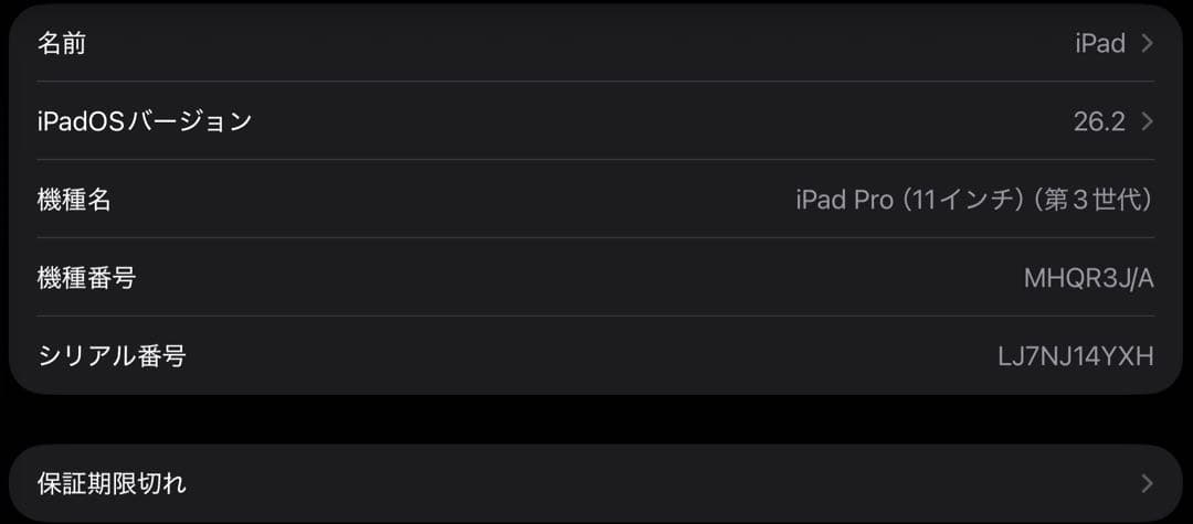 2021 Apple 11インチiPad Pro (Wi-Fi, 128GB)