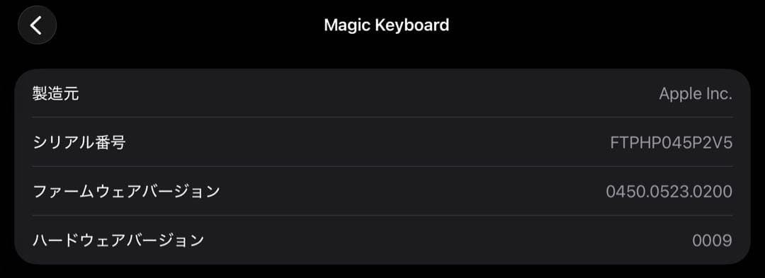 2021 Apple 11インチiPad Pro (Wi-Fi, 128GB)