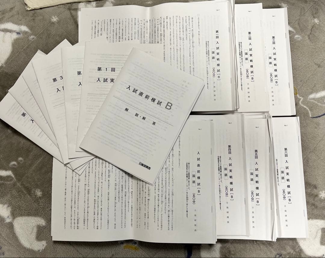 日能研　2025年度　最新６年生　育成テスト　入試実践模試など　後期フルセット