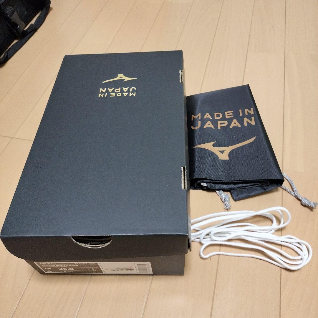 モレリアネオ4β 25cm