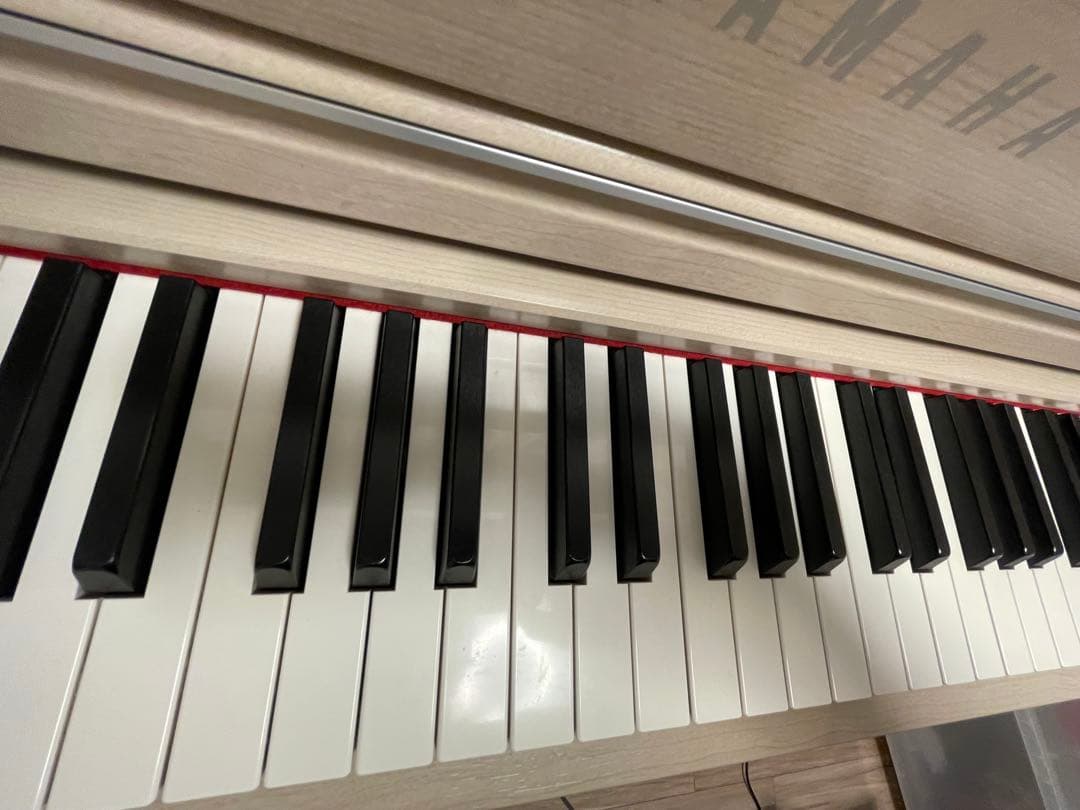 【イーサン】19年製【美品・高級モデル】CLP-645クラビノーバ