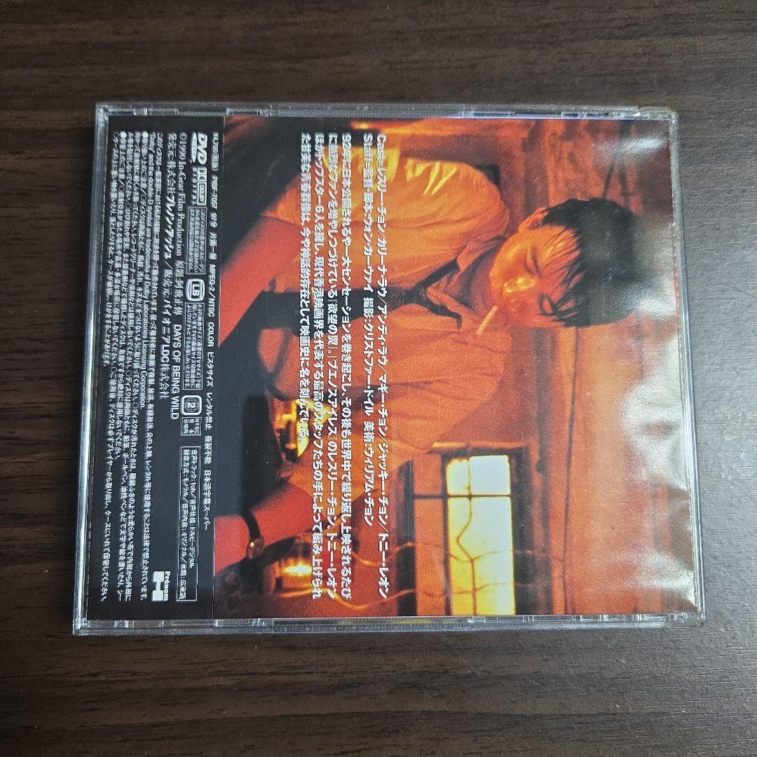 ウォンカーウァイDVD5枚セット