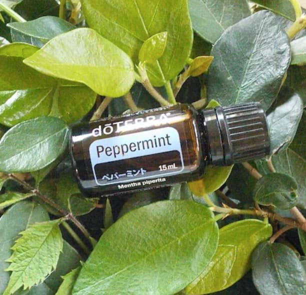 【❗️新品 未開封 4本】ドテラ ペパーミント15ml クリックポスト発送