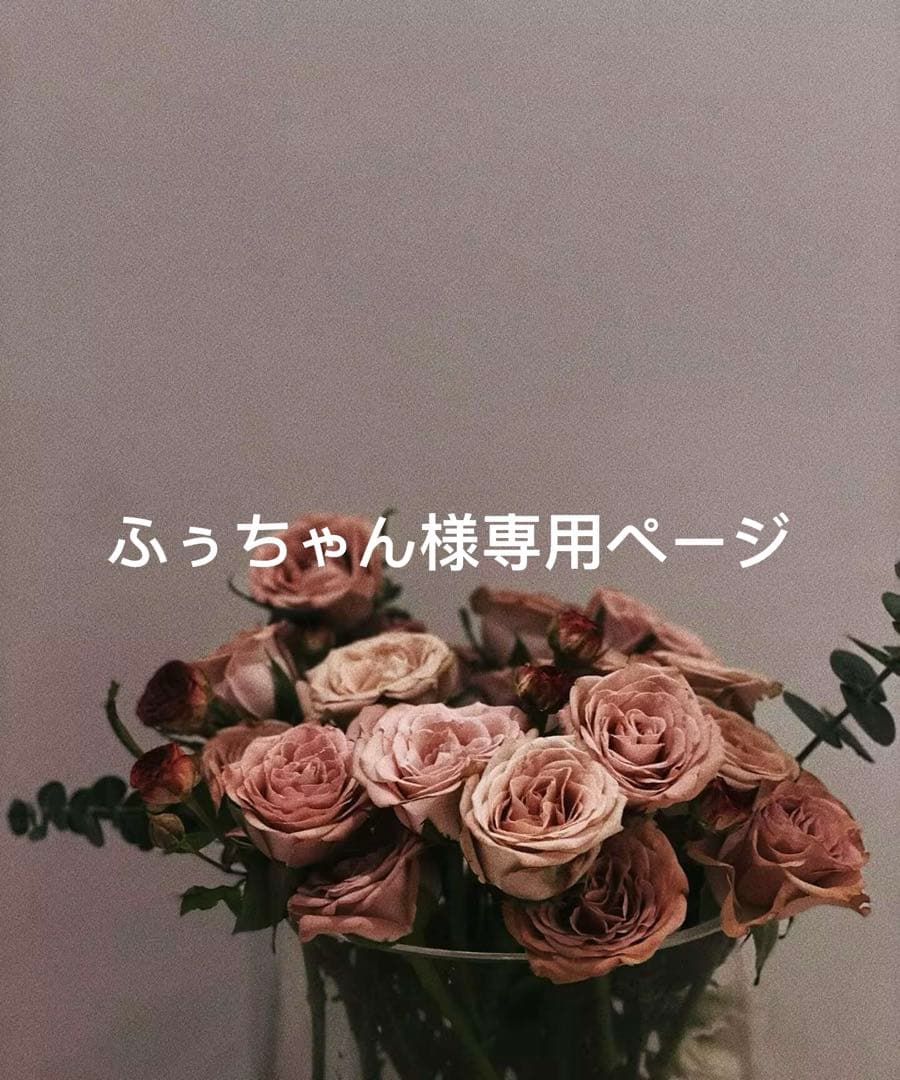 ふぅちゃんページ