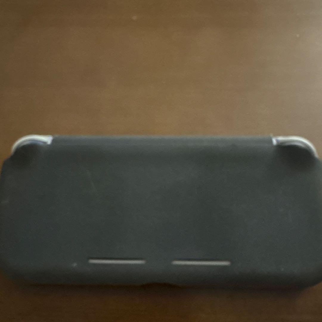希少 Nintendo Switch Lite ケース メモリーカード付き