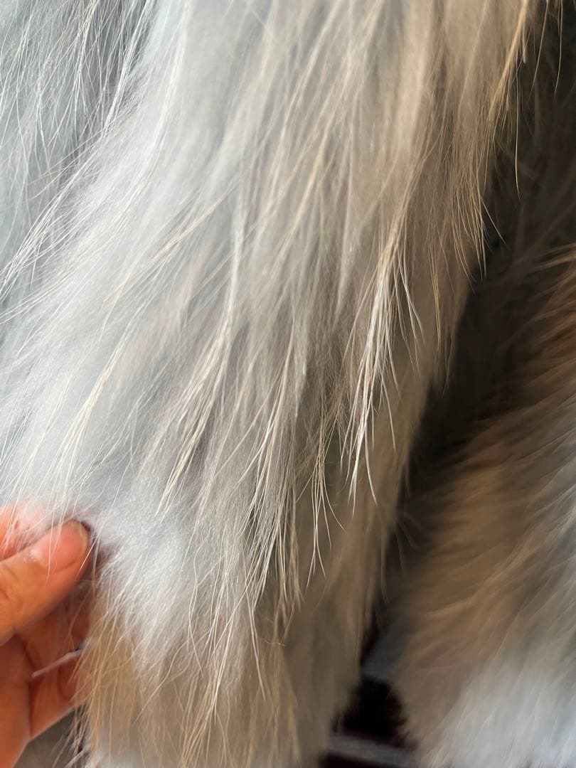 本物毛皮コートグレー ファーショートジャケット