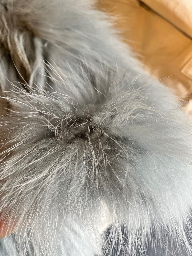 本物毛皮コートグレー ファーショートジャケット