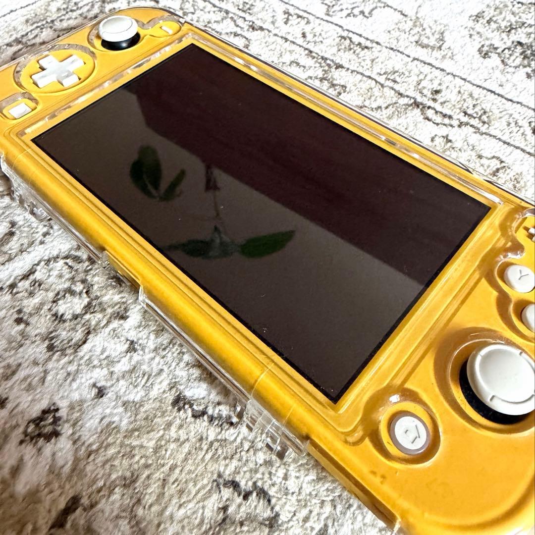 Nintendo Switch Switch Lite