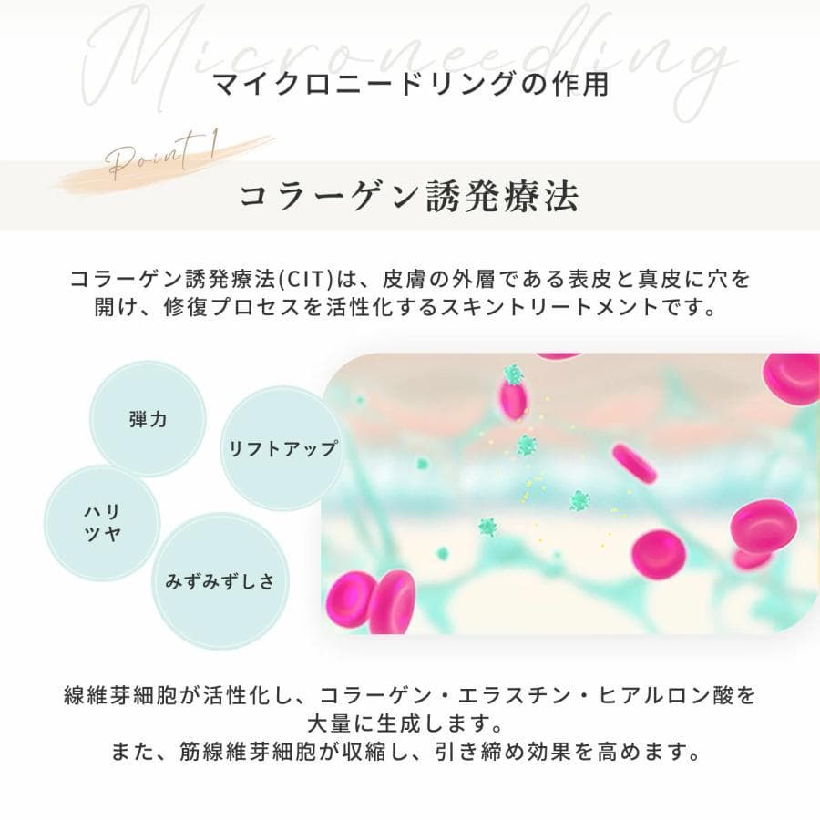 【正規品】ダーマローラー HC902/ローラークリーナーセット【新品未開封】