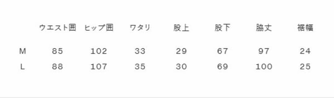 新品未使用　NBW32530-K THE NORTH FACE Lサイズ