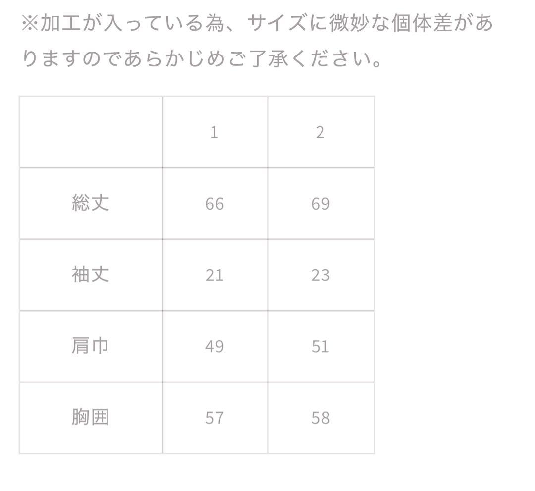 トップス echeveria Henry Basque Shirt