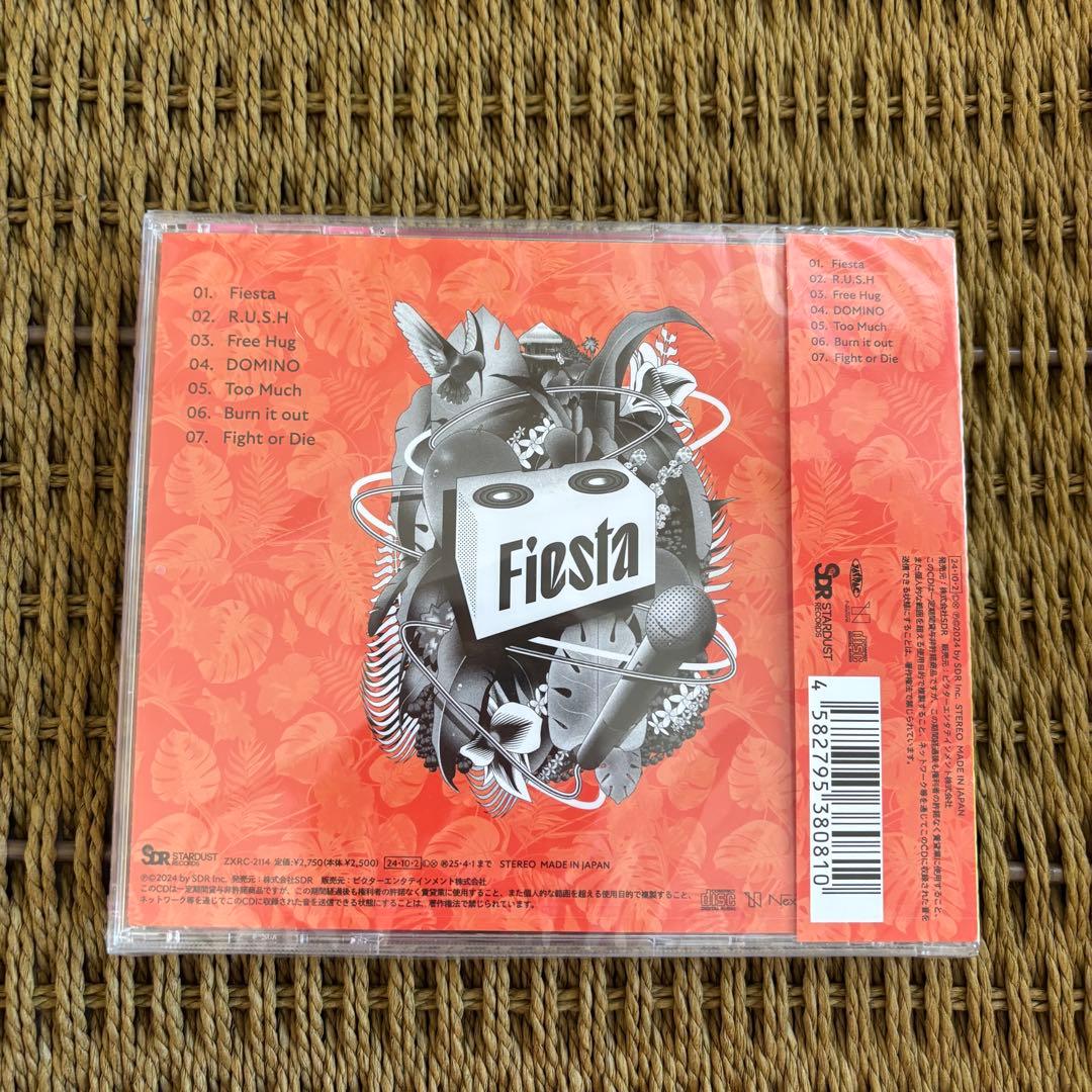 one n' only fiesta 初回限定版DVD 通常盤CD セット