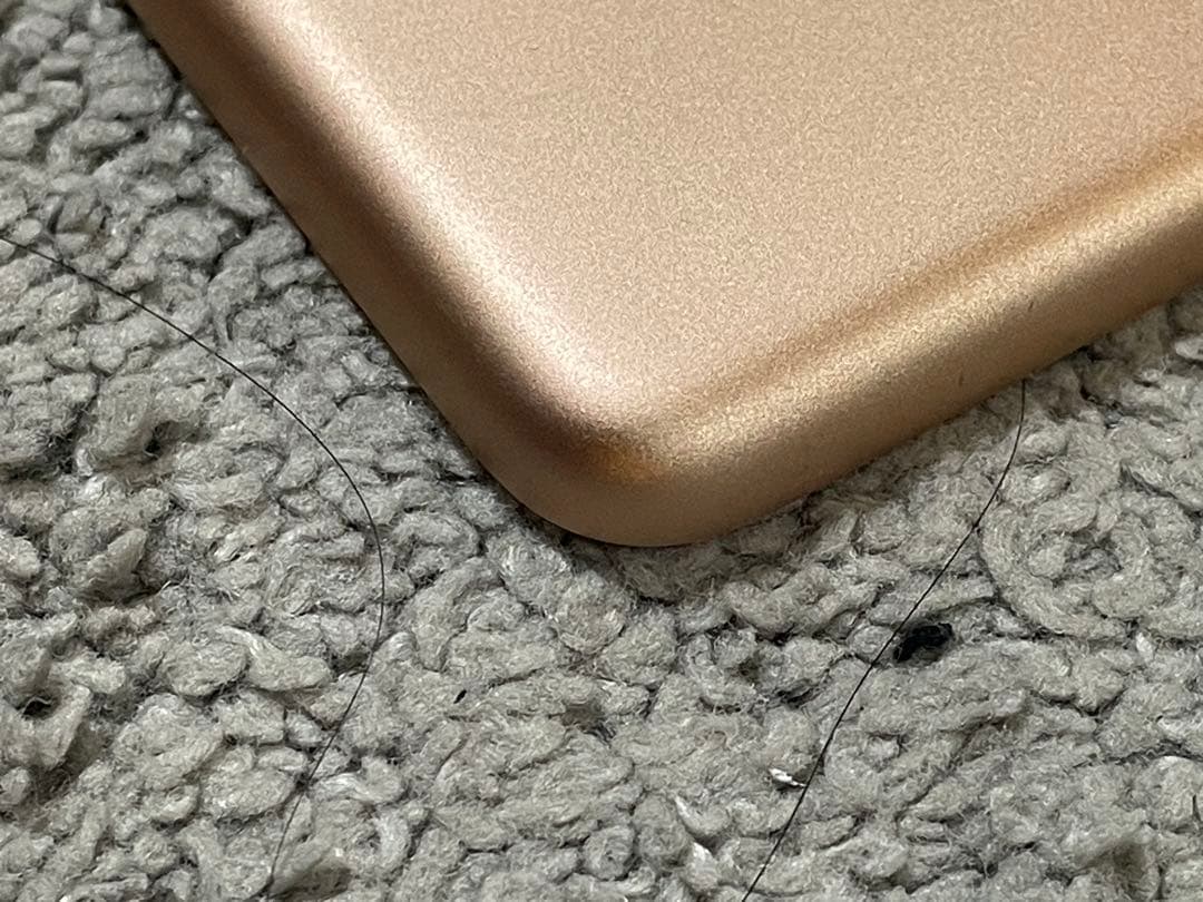 Apple iPad (第6世代) ゴールド 32GB 本体