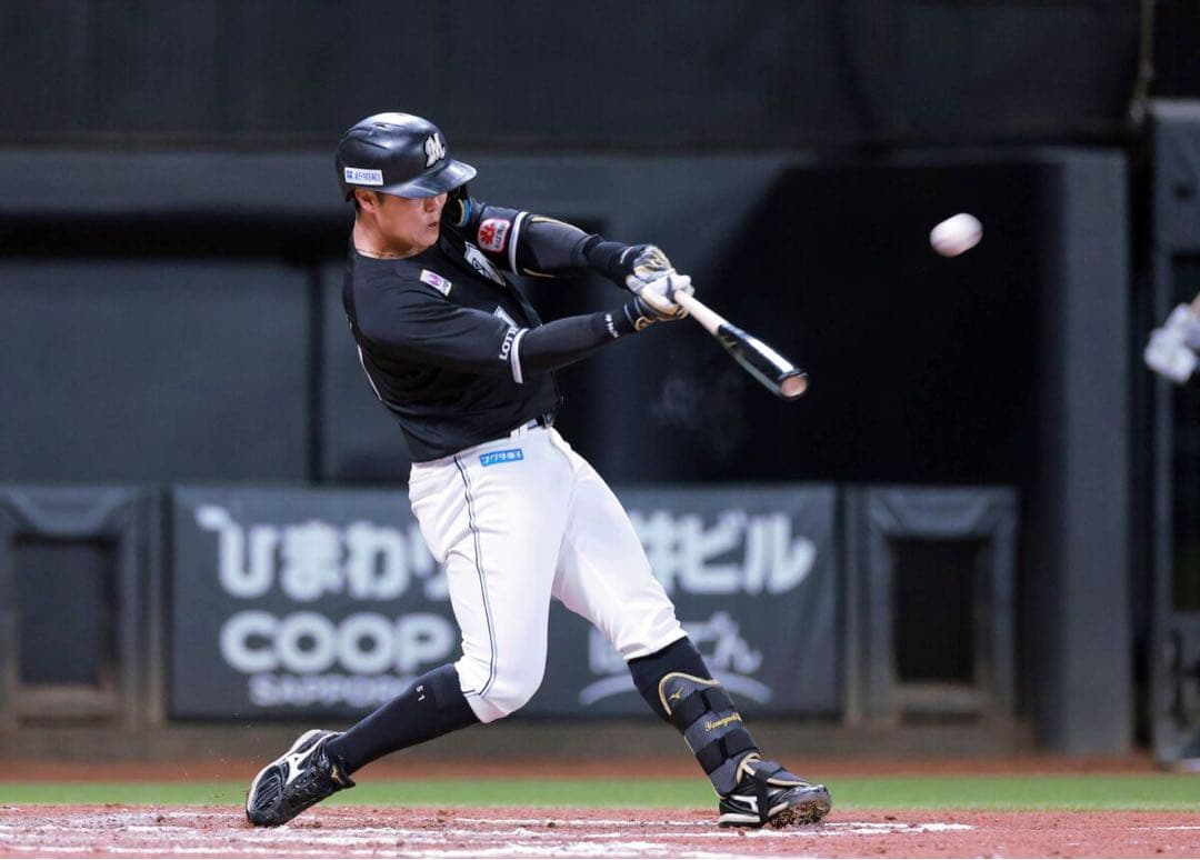 千葉ロッテマリーンズ　山口航輝 #51　バット NPBマーク 支給品　実使用