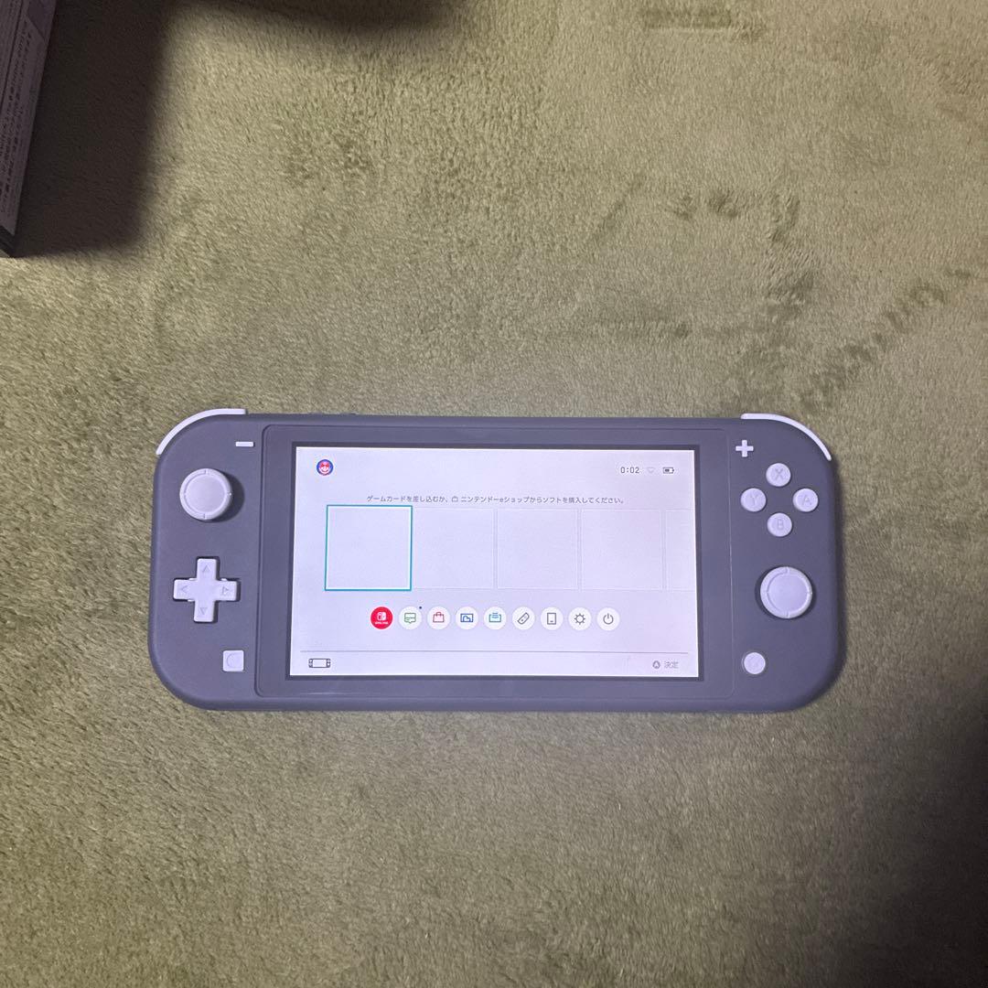 Switch Lite、ポーチ、microSD256セット