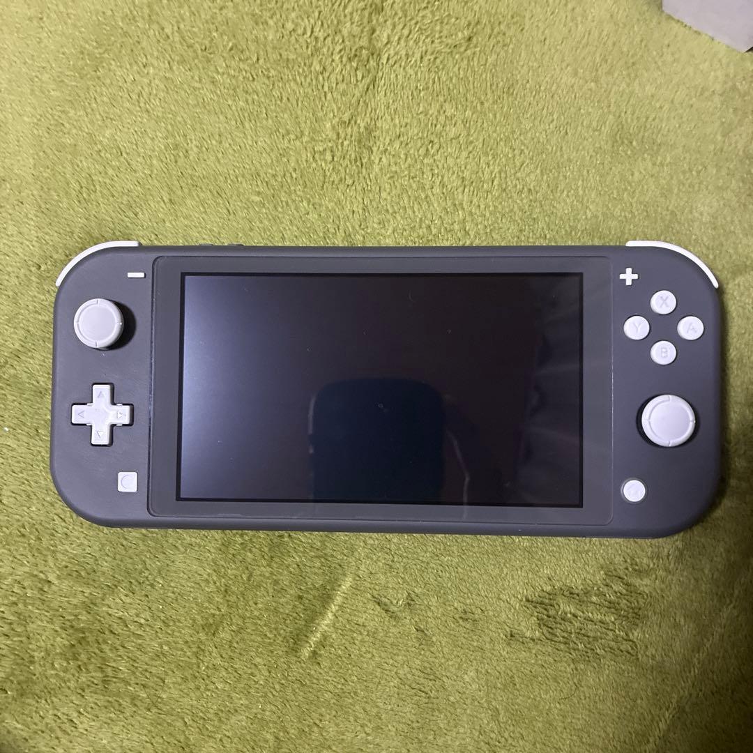 Switch Lite、ポーチ、microSD256セット