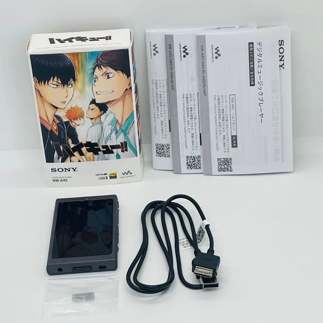 SONY WALKMAN NW-A45 「烏野高校モデル」