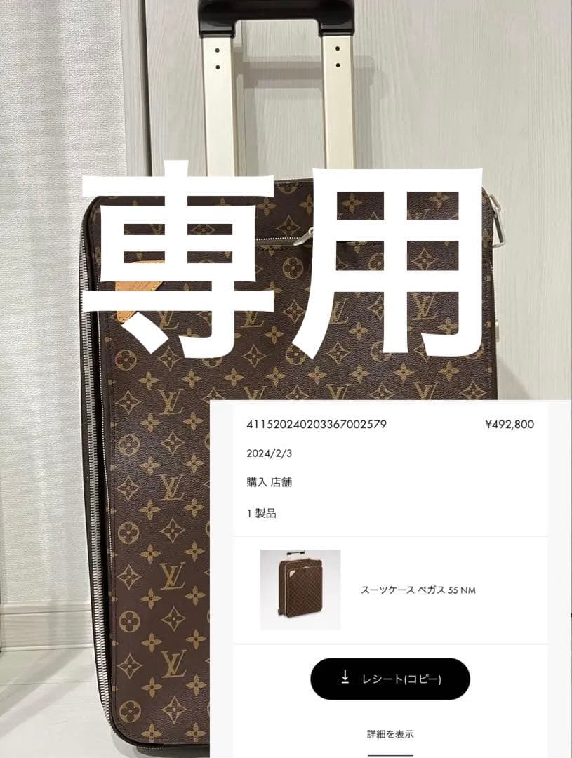 Louis Vuitton モノグラムキャリーケース