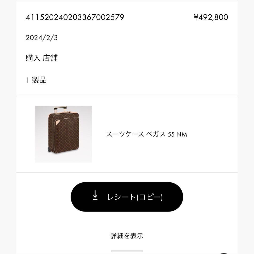 Louis Vuitton モノグラムキャリーケース