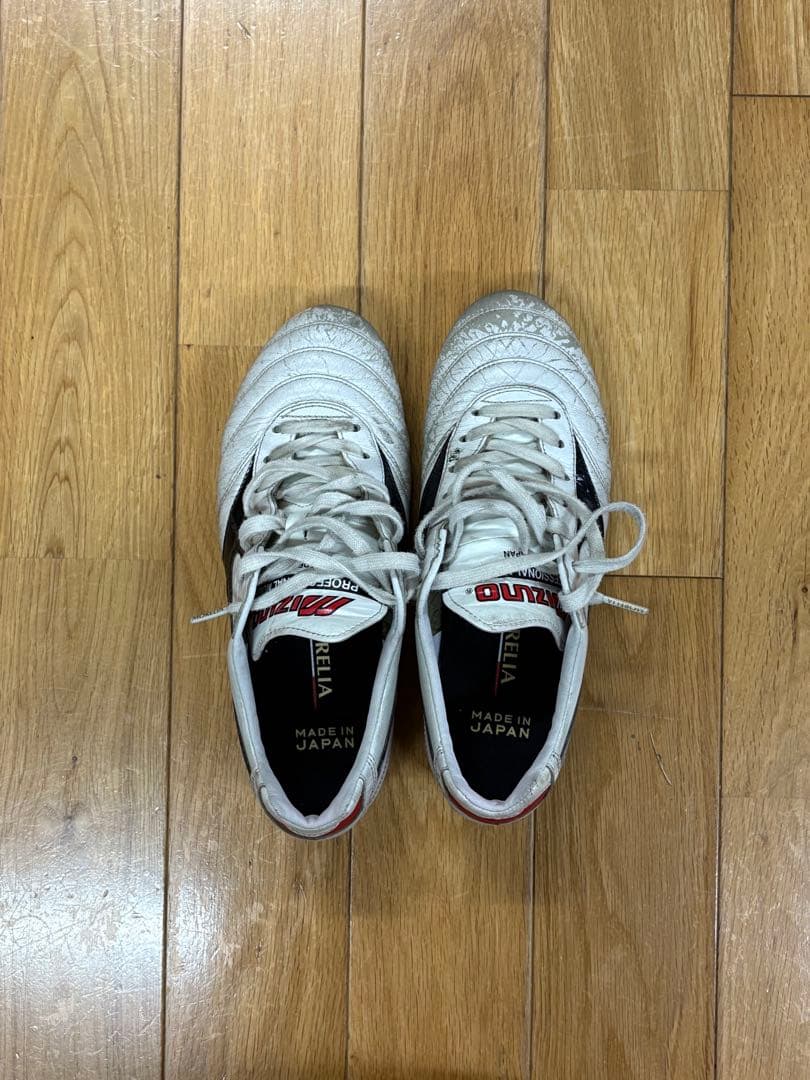 Mizuno モレリア2Japan