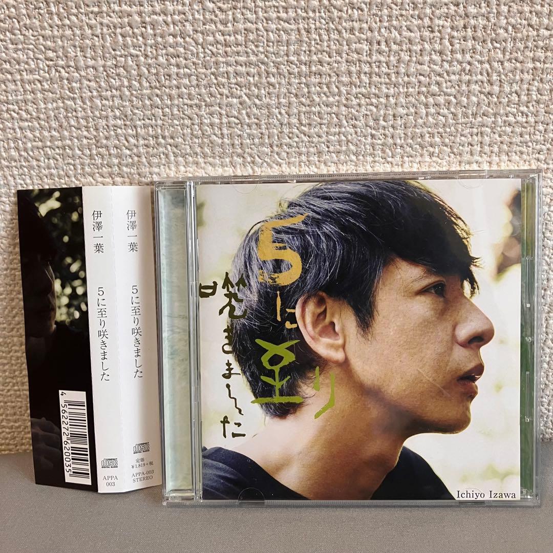 5に至り咲きました 伊澤一葉 邦楽CD