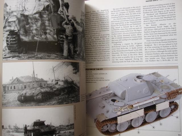 Panther　Mirko Bayerl　Toni Canfora