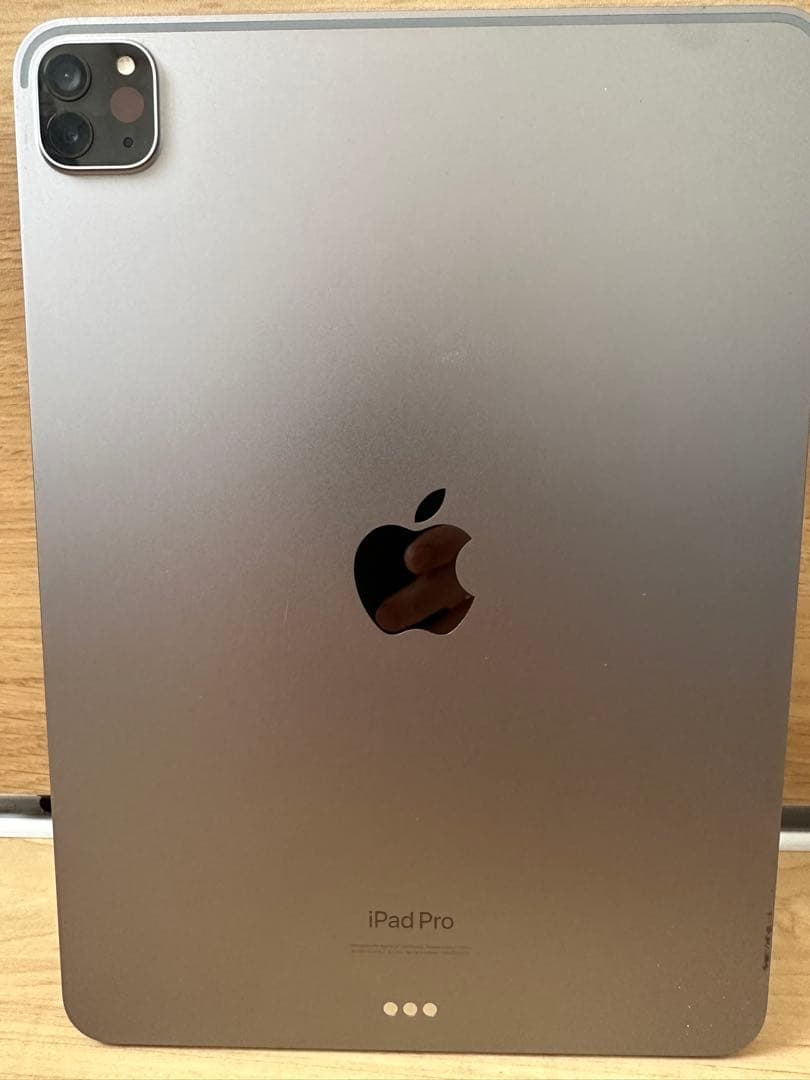 悪*魔様 Apple iPad Pro 11インチ スペースグレー