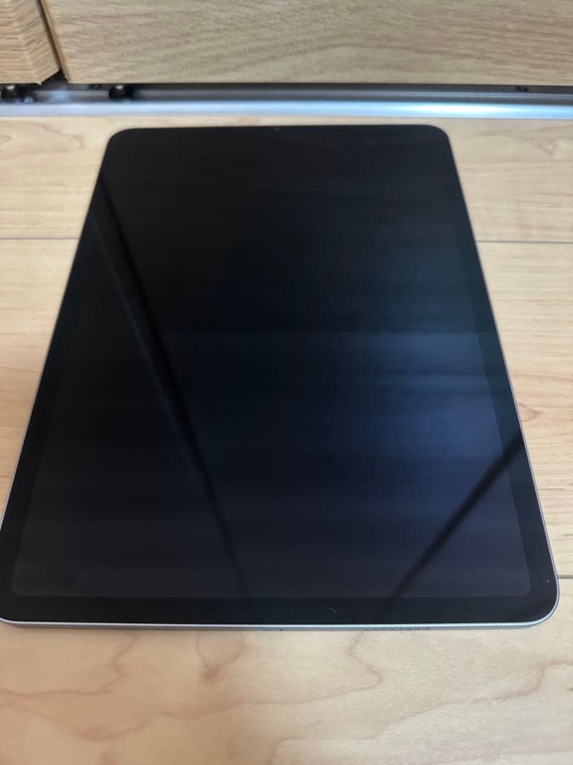 悪*魔様 Apple iPad Pro 11インチ スペースグレー