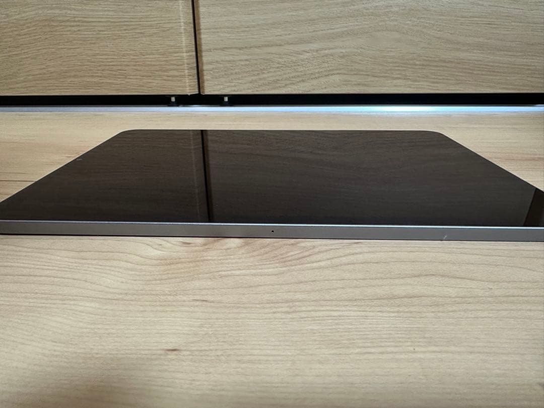 悪*魔様 Apple iPad Pro 11インチ スペースグレー