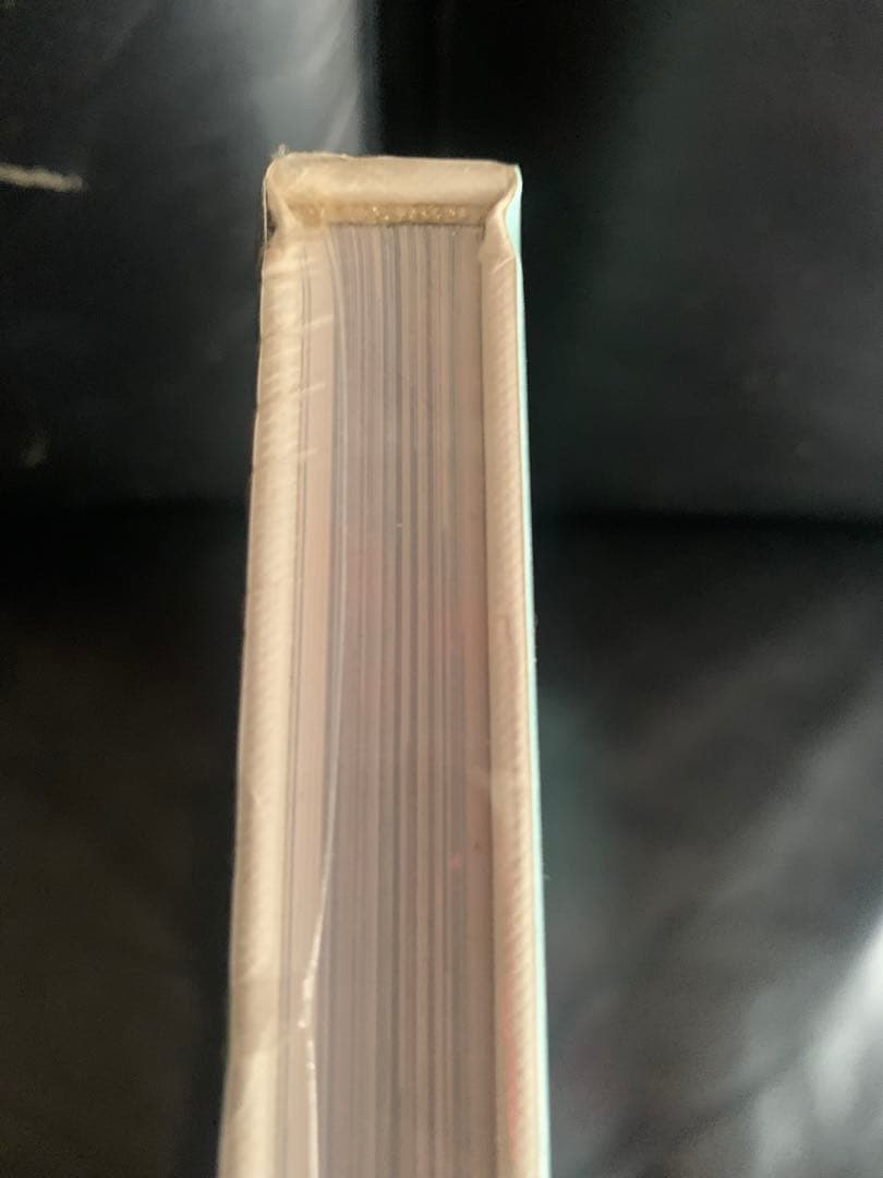 【未開封：ハードカバー】ヴィヴィアンウエストウッド　アートブック　写真集