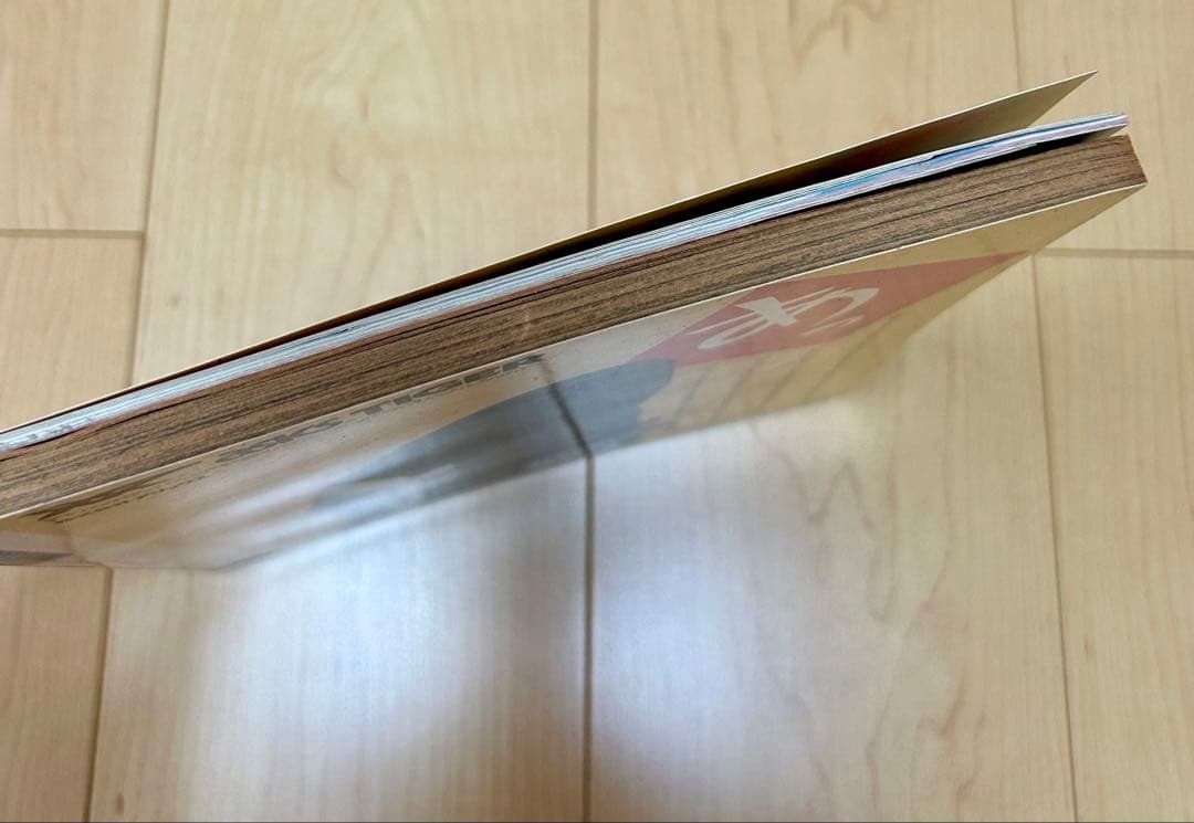 キャプテン翼　熱闘スペシャル