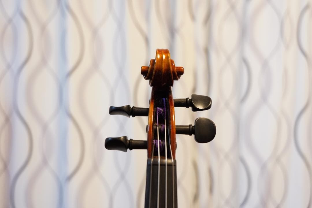 ひで様　ローデリヒ・ペゾルト　Paesold 804 バイオリン 4/4