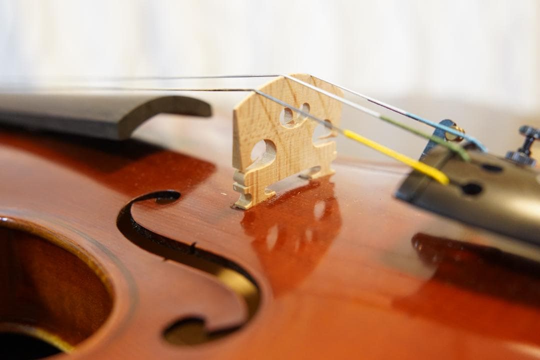 ひで様　ローデリヒ・ペゾルト　Paesold 804 バイオリン 4/4