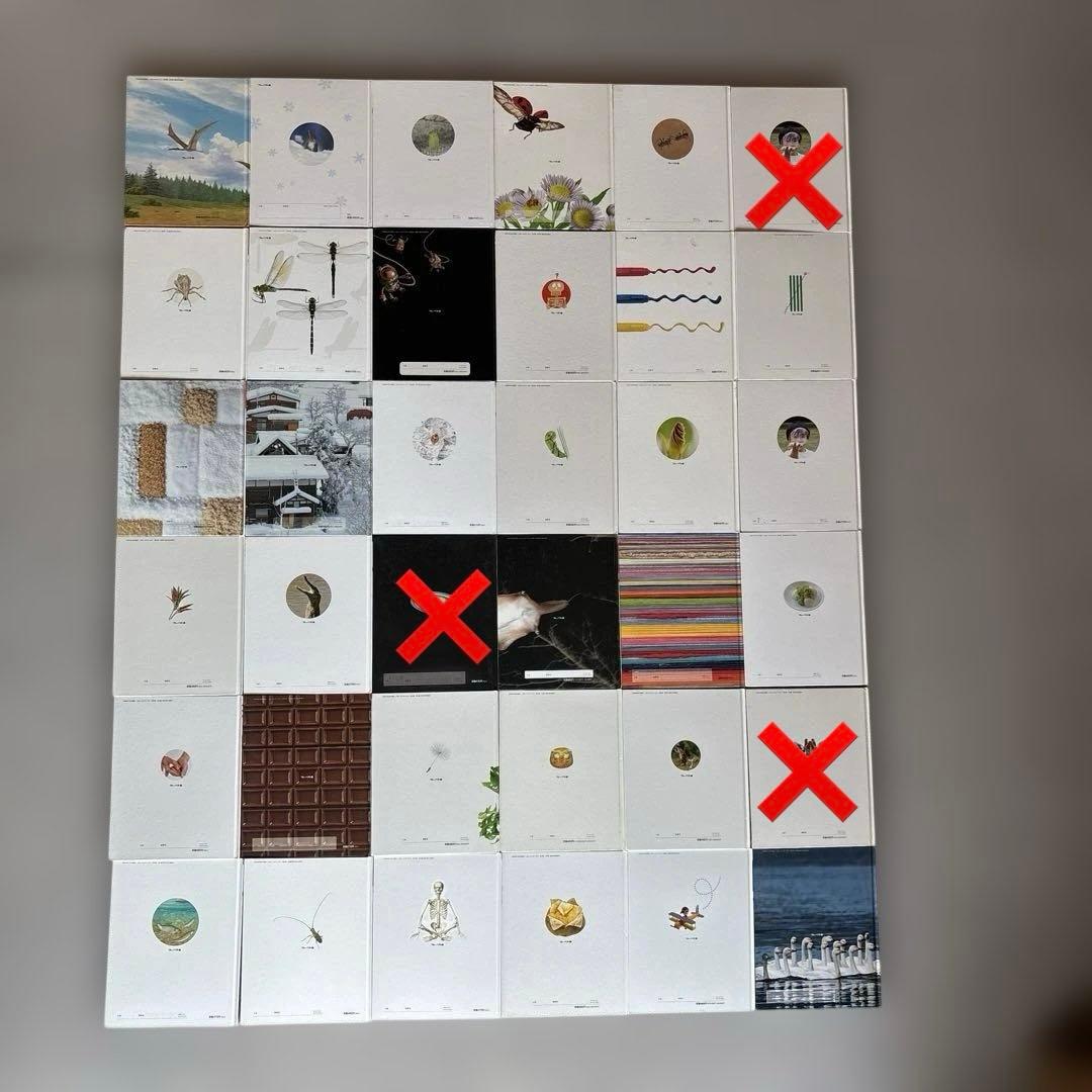 しぜん　絵本　キンダーブック　60冊　セット　まとめて　②