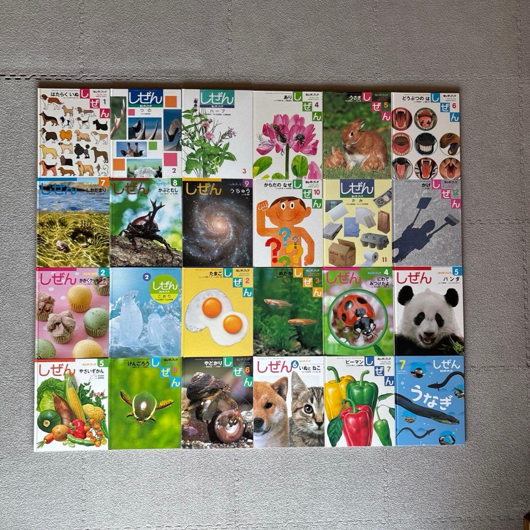 しぜん　絵本　キンダーブック　60冊　セット　まとめて　②