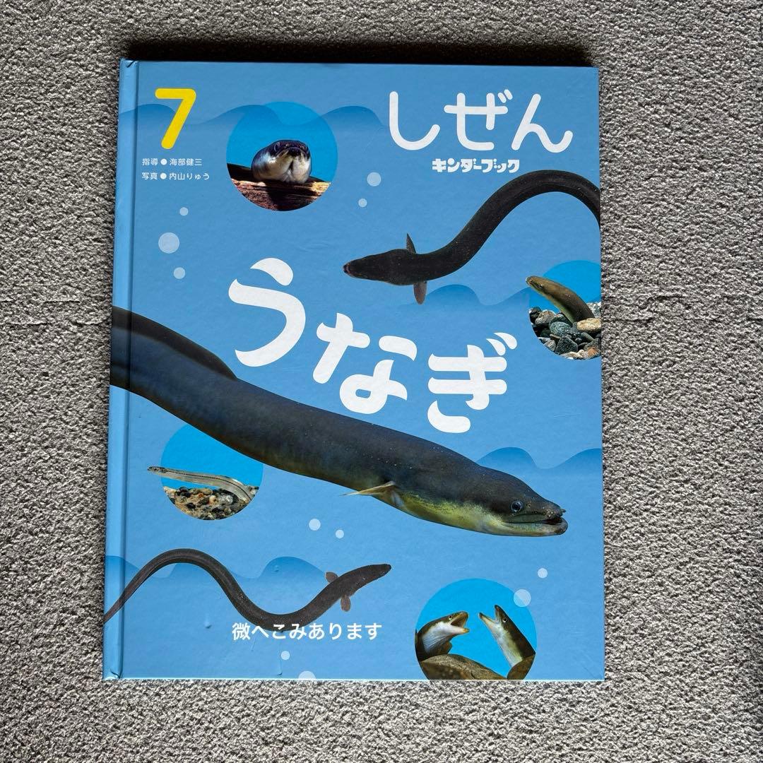 しぜん　絵本　キンダーブック　60冊　セット　まとめて　②