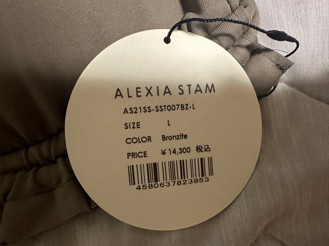 【新品未使用】アリシアスタン　水着