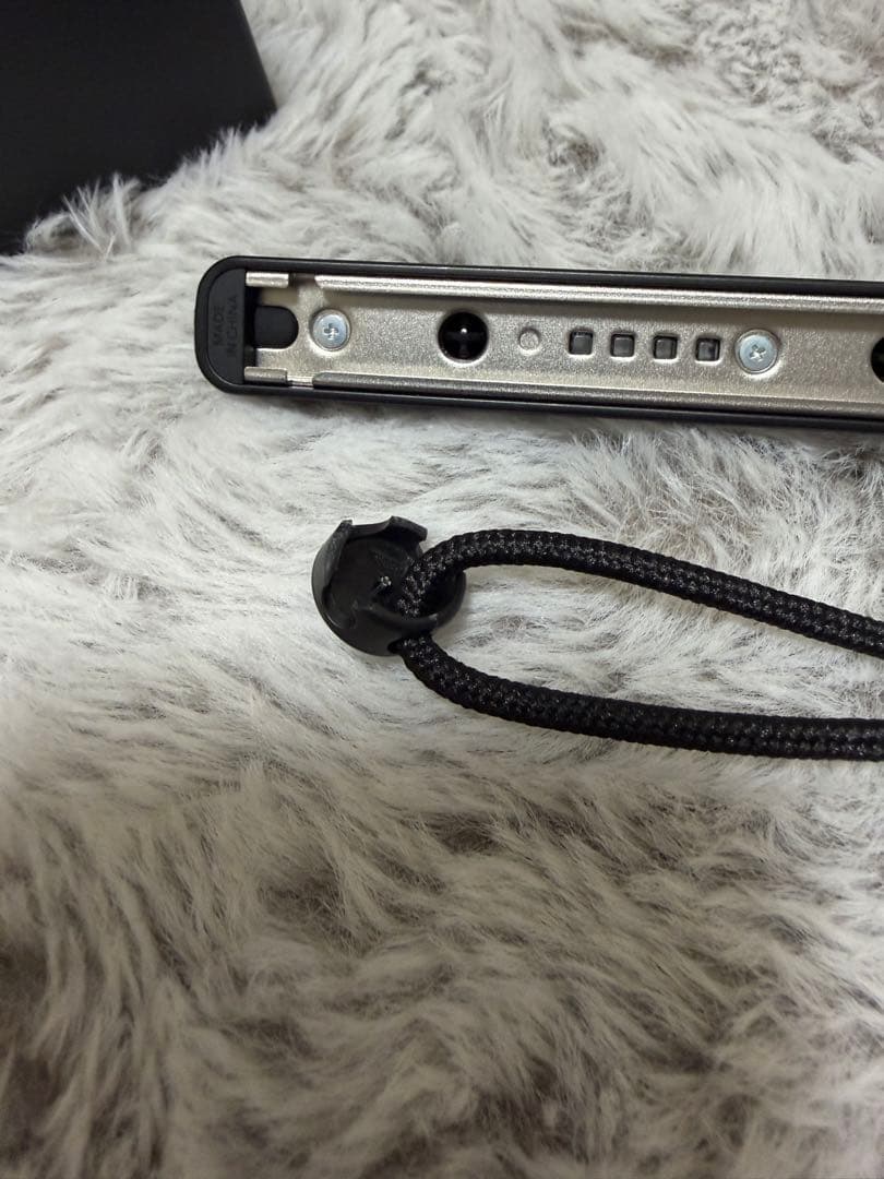 Nintendo Switch 本体　256GB SDカード