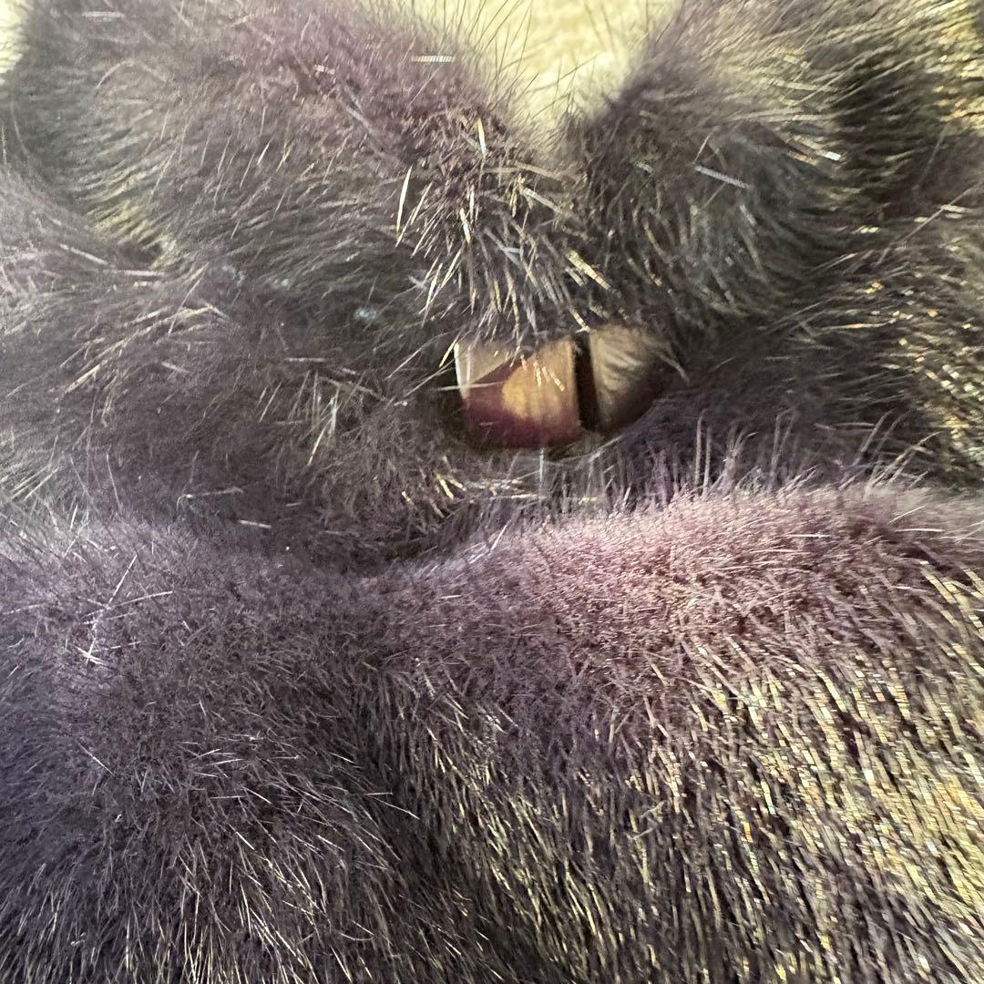 伊太利屋　カシミヤ混　コート　ミンク　リアルファー　ネイビー　美品　M