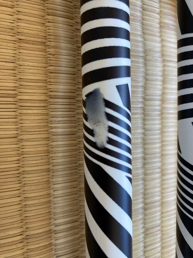 ライン　スキーポール　スキーストック　未使用品