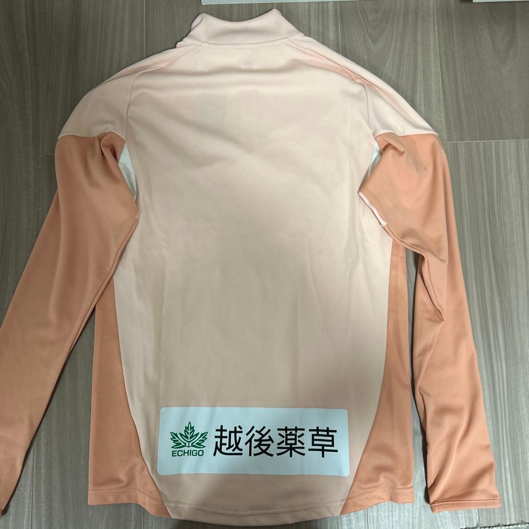 25 アルビレックス新潟 TIRO25コンペティショントレーニングトップ M