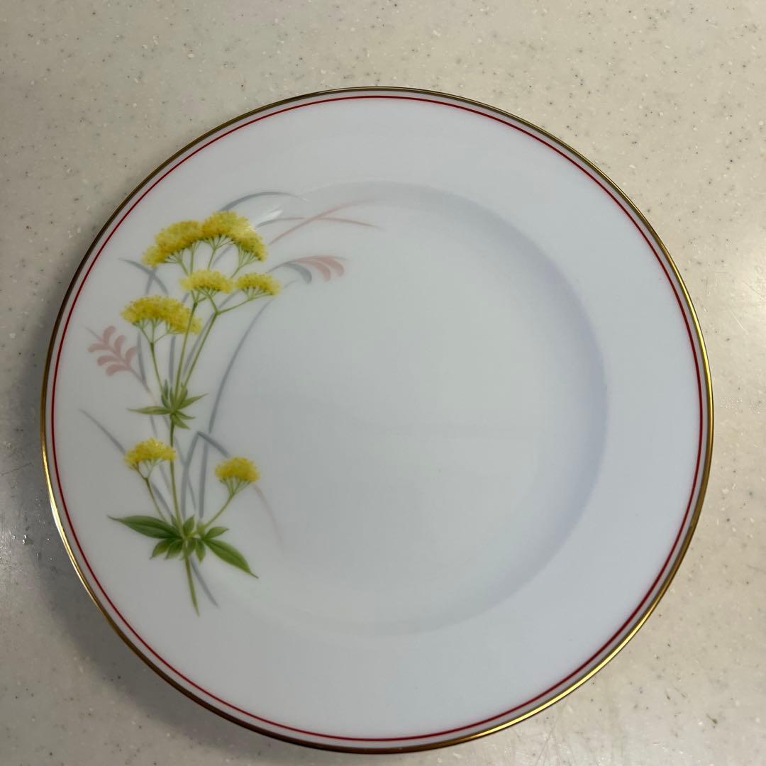 大倉陶園⭐️ケーキ皿⭐️Limited Edition⭐️ハンドペイント⭐️野の花⭐️6枚