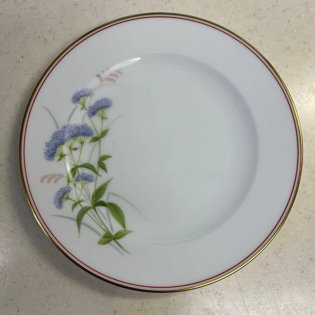 大倉陶園⭐️ケーキ皿⭐️Limited Edition⭐️ハンドペイント⭐️野の花⭐️6枚
